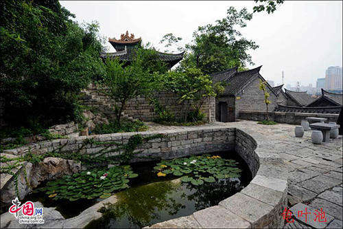 龟叶池