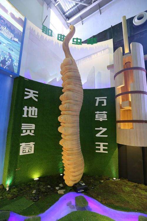第二届中国西藏旅游文化国际博览会那曲展馆开馆