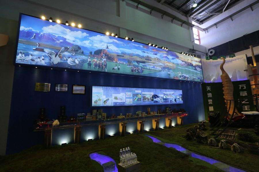 第二届中国西藏旅游文化国际博览会那曲展馆开馆