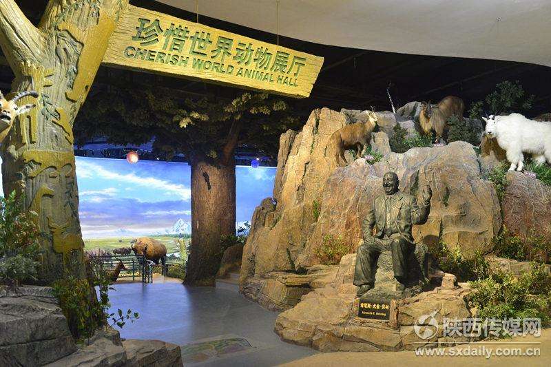 陕西自然博物馆“贝林”展厅10月20日正式开放