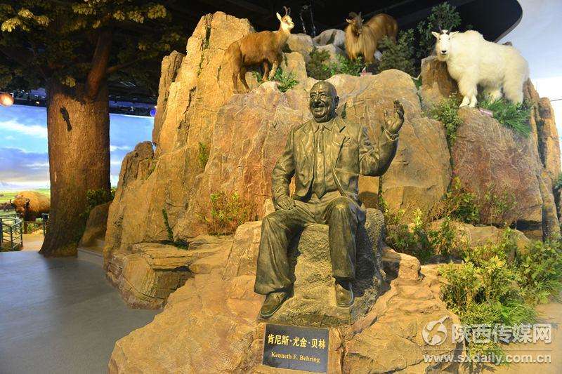 陕西自然博物馆“贝林”展厅10月20日正式开放
