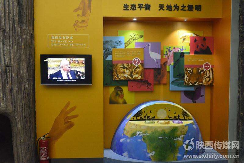 陕西自然博物馆“贝林”展厅10月20日正式开放