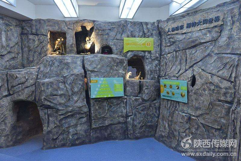 陕西自然博物馆“贝林”展厅10月20日正式开放