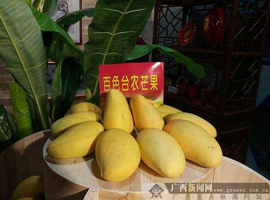 广西妇女创业成果展：百色民族特色展厅受青睐