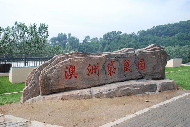 大连森林动物园主题展馆——澳洲袋鼠园