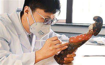 国内最大的“文物医院”（展馆新气象）